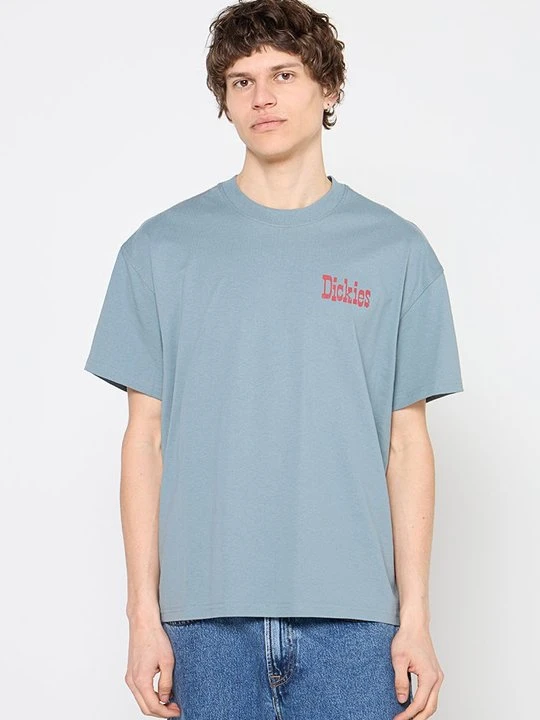 Zdjęcie produktu T-shirt z nadrukiem Dickies