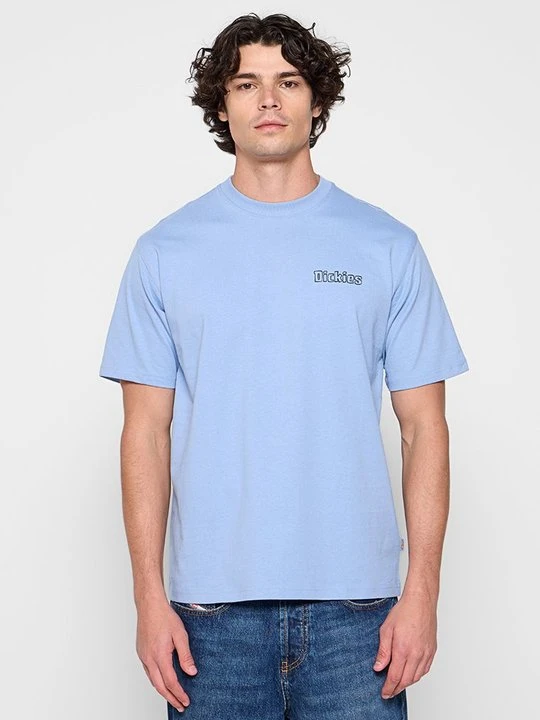 Zdjęcie produktu T-shirt z nadrukiem Dickies jasnoniebieski