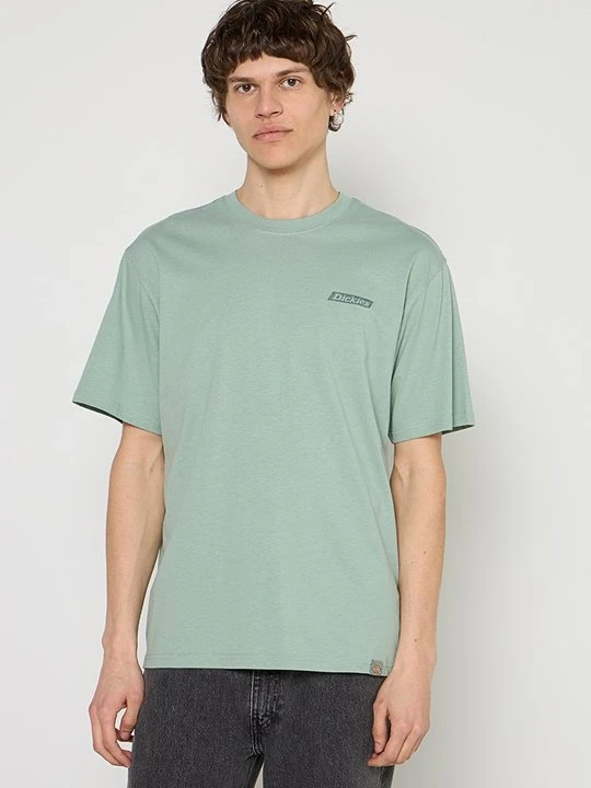 Zdjęcie produktu T-shirt z nadrukiem Dickies zielony