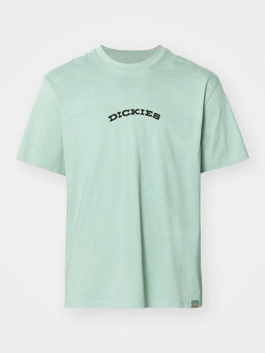 Zdjęcie produktu T-shirt z nadrukiem Dickies zielony