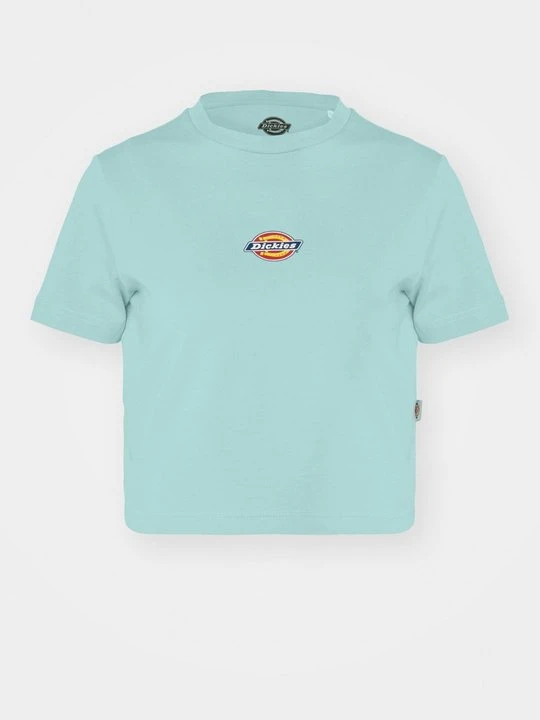 Zdjęcie produktu T-shirt z nadrukiem Dickies turkusowy