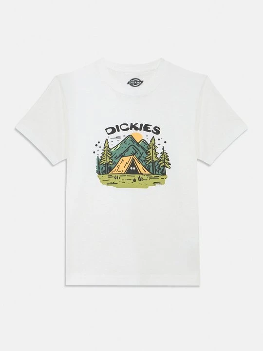 Zdjęcie produktu T-shirt z nadrukiem Dickies biały