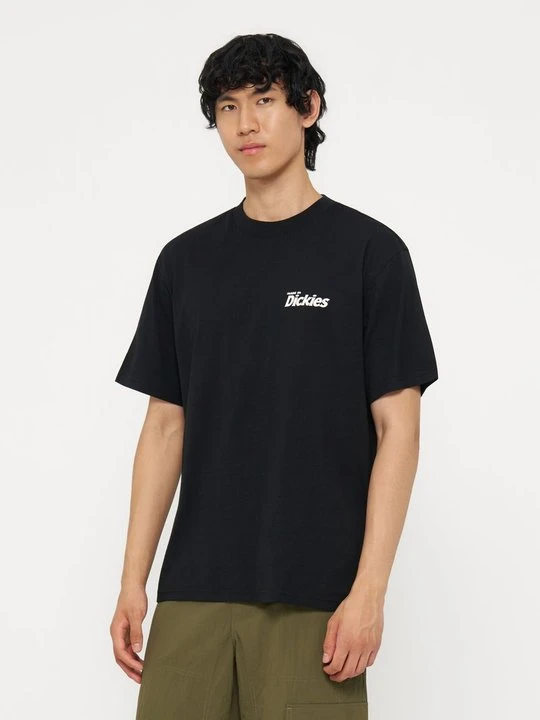 Zdjęcie produktu T-shirt z nadrukiem Dickies czarny