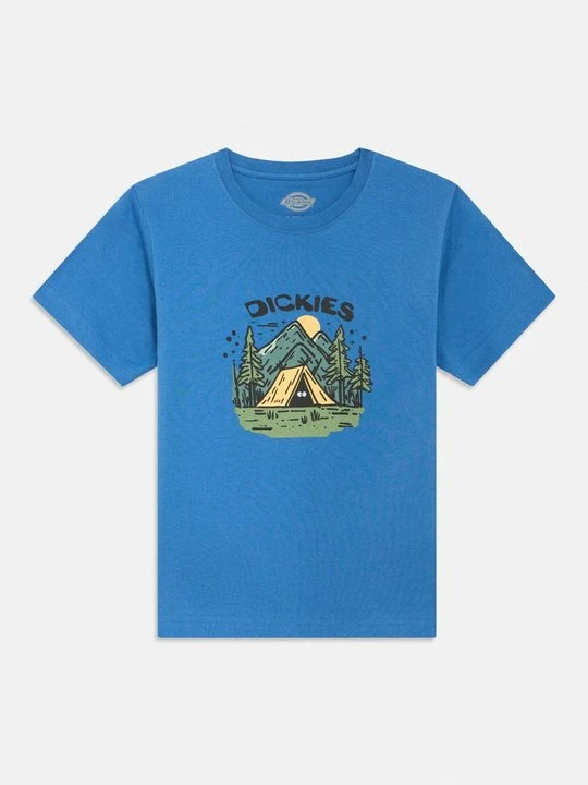 Zdjęcie produktu T-shirt z nadrukiem Dickies jasnoniebieski