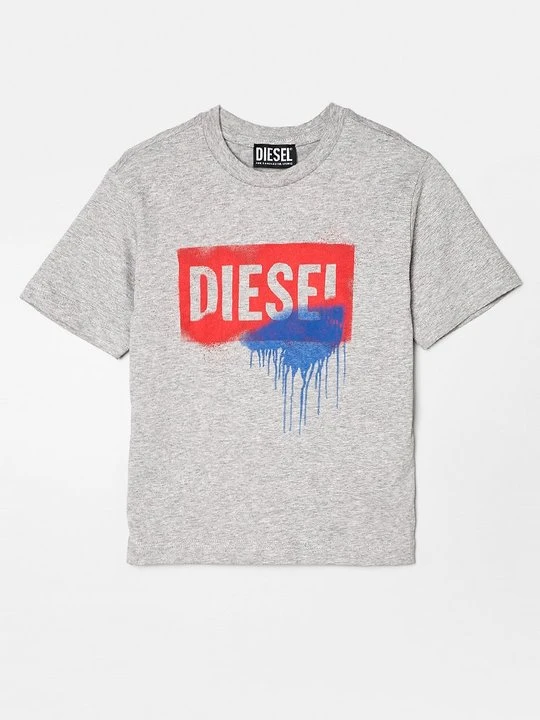 Zdjęcie produktu T-shirt z nadrukiem Diesel szary