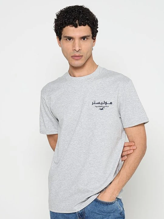 Zdjęcie produktu T-shirt z nadrukiem Hollister Co. szary