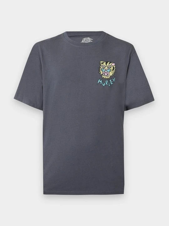Zdjęcie produktu T-shirt z nadrukiem Hurley szary