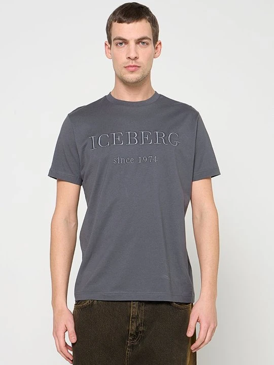 Zdjęcie produktu T-shirt z nadrukiem Iceberg szary