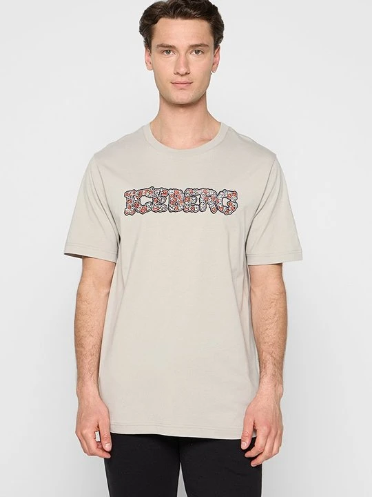 Zdjęcie produktu T-shirt z nadrukiem Iceberg kamień