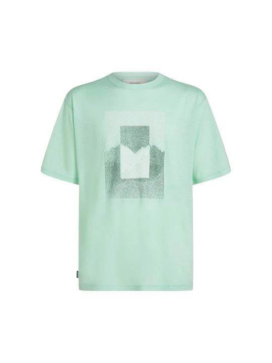 Zdjęcie produktu T-shirt z nadrukiem Icebreaker zielony