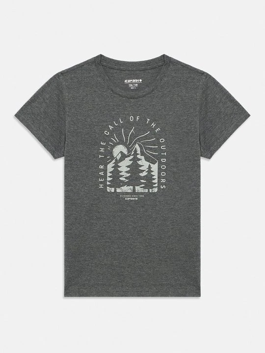 Zdjęcie produktu T-shirt z nadrukiem icepeak szary