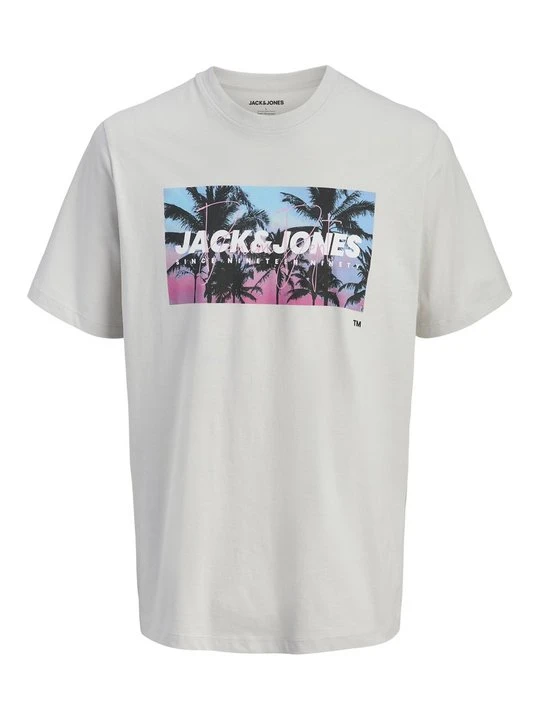 Zdjęcie produktu T-shirt z nadrukiem Jack&Jones szary