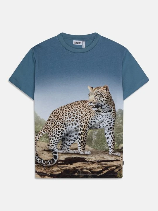 Zdjęcie produktu T-shirt z nadrukiem Molo niebieski