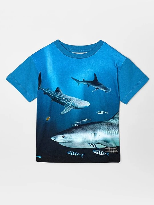 Zdjęcie produktu T-shirt z nadrukiem Molo niebieski