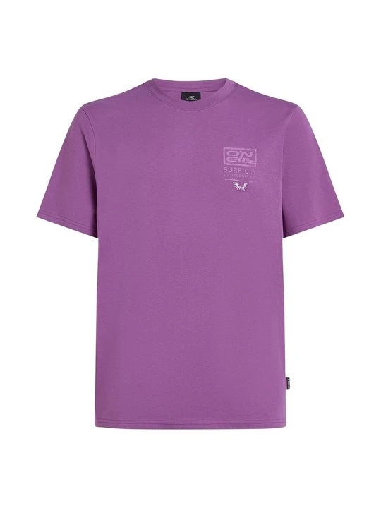 Zdjęcie produktu T-shirt z nadrukiem O'Neill fioletowy