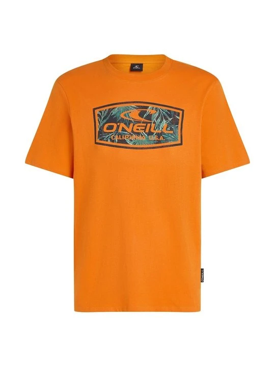 Zdjęcie produktu T-shirt z nadrukiem O'Neill pomarańczowy