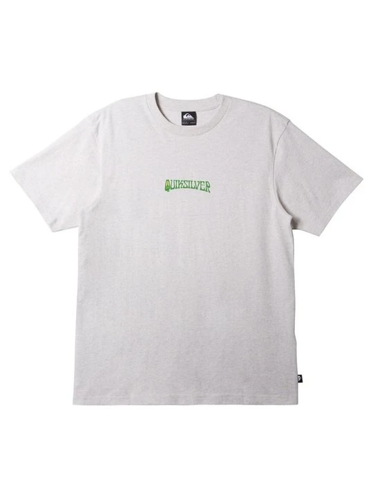 Zdjęcie produktu T-shirt z nadrukiem Quiksilver szary