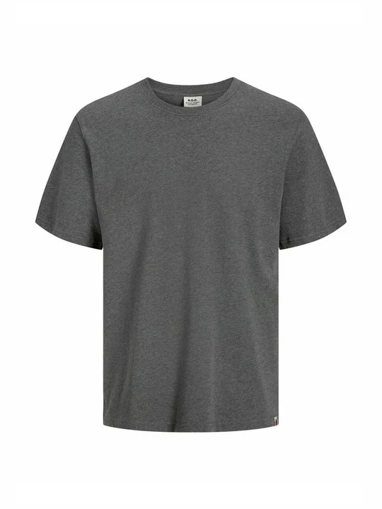 Zdjęcie produktu T-shirt z nadrukiem R.D.D. ROYAL DENIM DIVISION szary