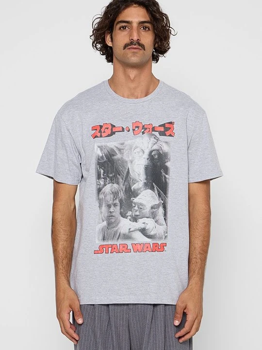 Zdjęcie produktu T-shirt z nadrukiem Star Wars szary