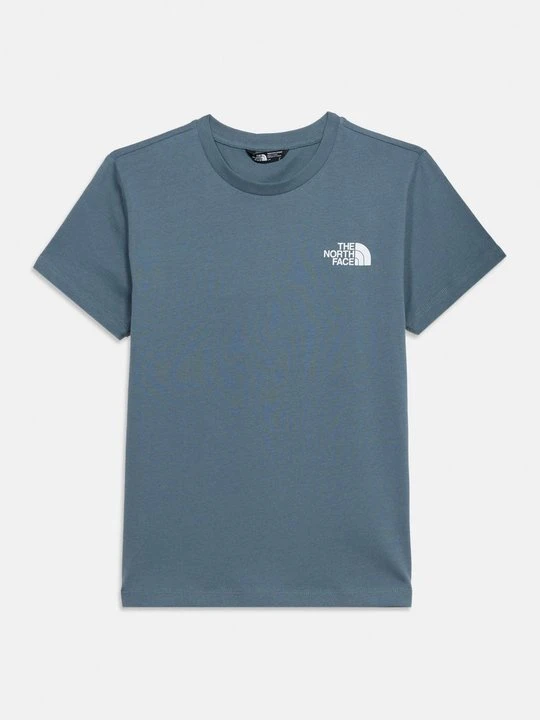 Zdjęcie produktu T-shirt z nadrukiem The North Face ciemnoszary