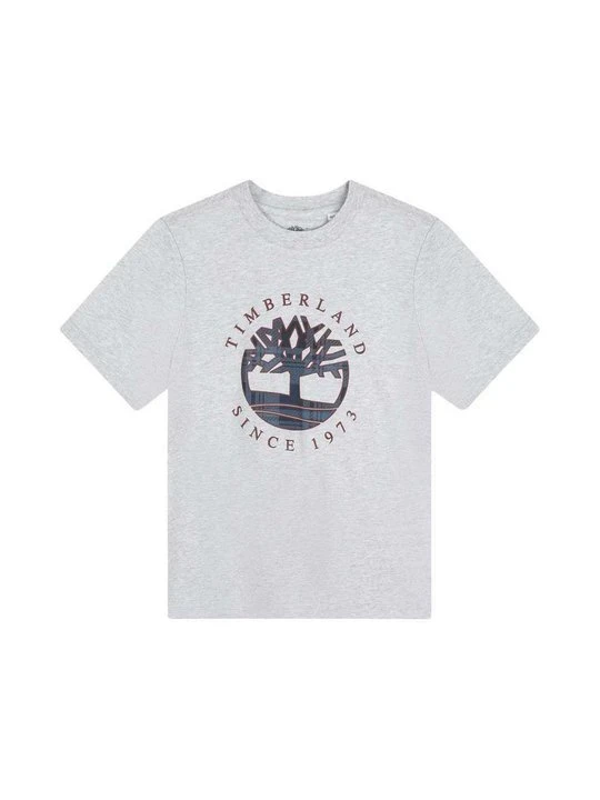 Zdjęcie produktu T-shirt z nadrukiem Timberland szary