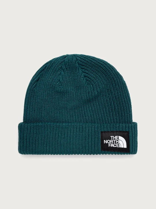 Zdjęcie produktu The North Face czapka Salty zielony