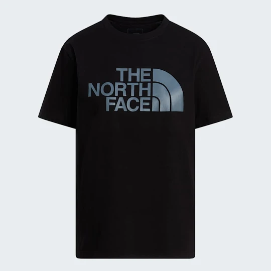 Zdjęcie produktu The North Face Damski T-shirt Evolution Half Dome Tnf Black-tonal Rozmiar S female