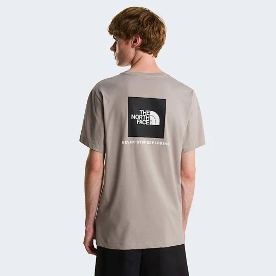 Zdjęcie produktu The North Face Męski T-shirt O Regularnym Kroju Evolution Nse Box Stone Slab Rozmiar S male
