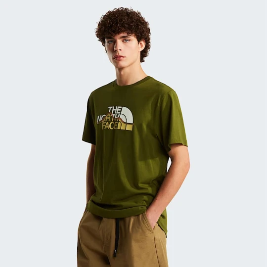 Zdjęcie produktu The North Face Męski T-shirt Z Grafiką O Regularnym Kroju Mountain Line Woodland Green Rozmiar M male
