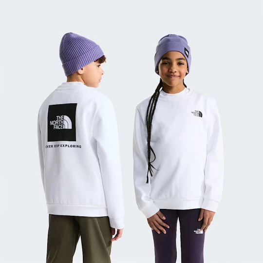 Zdjęcie produktu The North Face Młodzieżowa Bluza Evolution Box Nse Tnf Pale Grey Heather Rozmiar XXL male