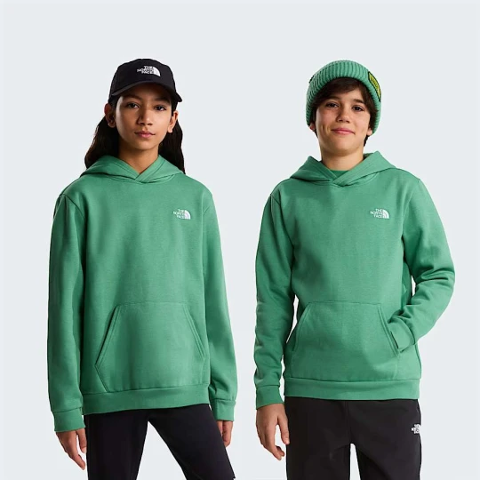 Zdjęcie produktu The North Face Młodzieżowa Bluza Z Kapturem Evolution Simple Dome Tnf Pale Grey Heather Rozmiar XXL male