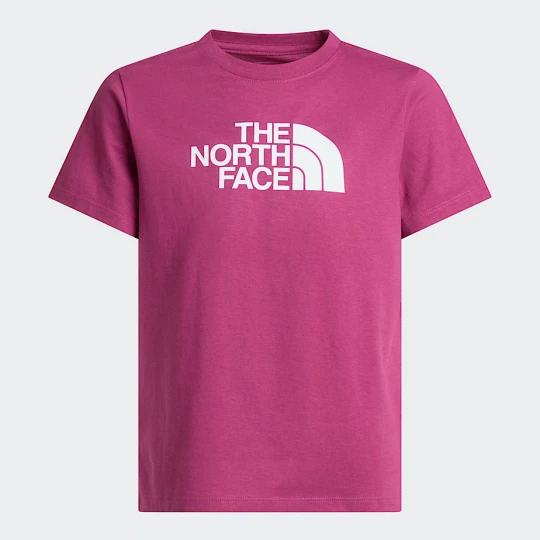 Zdjęcie produktu The North Face Młodzieżowy T-shirt Evolution Half Dome Tnf Black Rozmiar S female
