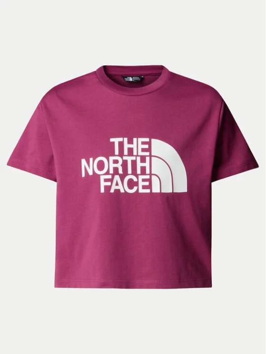 Zdjęcie produktu The North Face T-Shirt Easy NF0A8DRQ Różowy Relaxed Fit