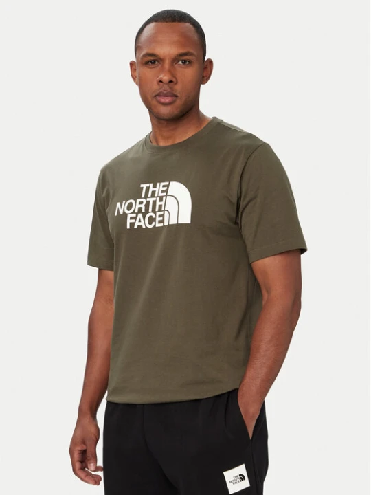 Zdjęcie produktu The North Face T-Shirt Evolution Half Dome NF0A8B6J Zielony Regular Fit