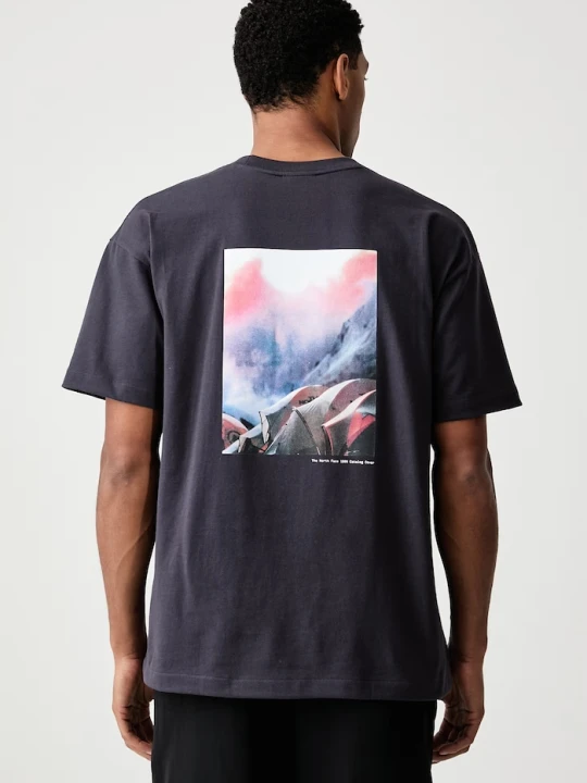 Zdjęcie produktu The North Face T-shirt męski bawełniany Redbox szary