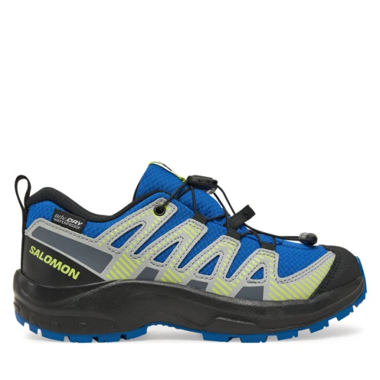 Zdjęcie produktu Trekkingi Salomon Xa Pro V8 Waterproof L47729600 Niebieski