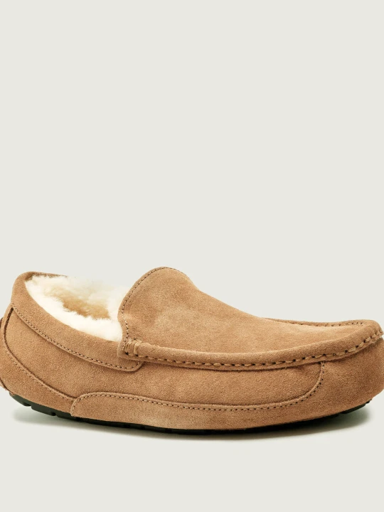 Zdjęcie produktu UGG Obuwie domowe M ASCOT | shearling | zamsz brązowy