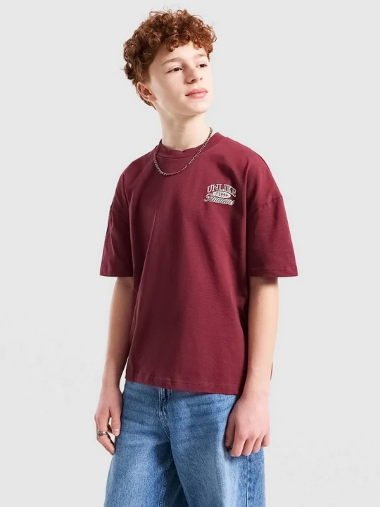 Zdjęcie produktu Unlike Humans T-Shirt Inter bordowy