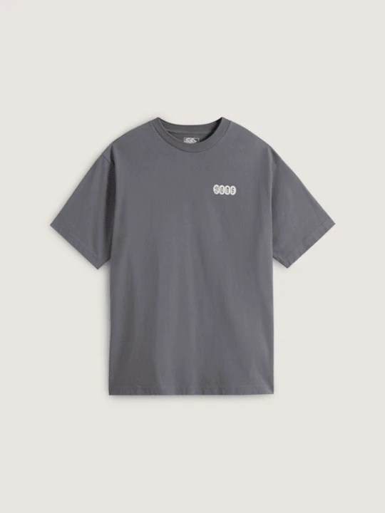 Zdjęcie produktu Vans - T-shirt Earthbound, male, Szary