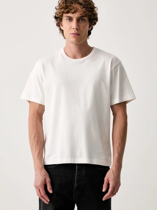 Zdjęcie produktu Vans T-shirt męski bawełniany PREMIUM beżowy