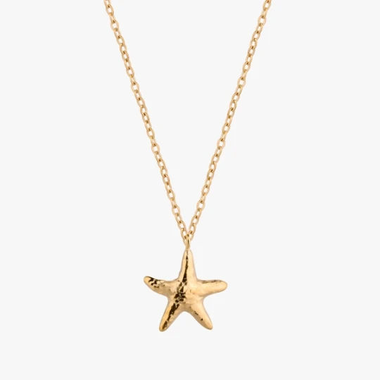 Zdjęcie produktu W.KRUK Naszyjnik Sea Star Picky Pica