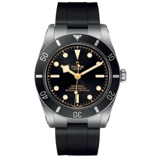 Zdjęcie produktu W.KRUK TUDOR BLACK BAY 54
