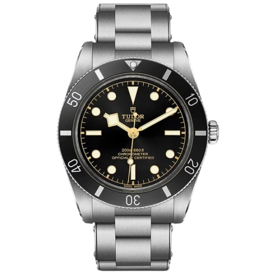 Zdjęcie produktu W.KRUK TUDOR BLACK BAY 54