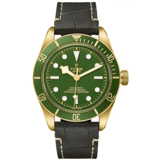 Zdjęcie produktu W.KRUK TUDOR BLACK BAY 59 18K
