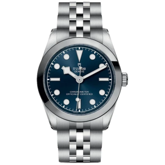 Zdjęcie produktu W.KRUK TUDOR BLACK BAY ONE 31