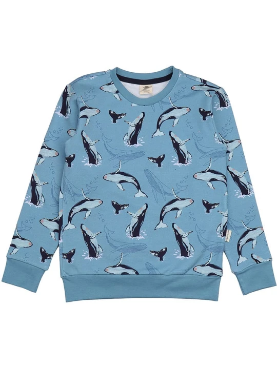 Zdjęcie produktu Walkiddy Bluza w kolorze błękitnym rozmiar: 104