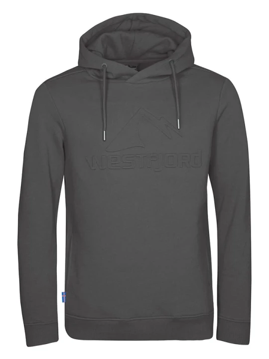 Zdjęcie produktu Westfjord Bluza "Gullfoss" w kolorze szarym rozmiar: M