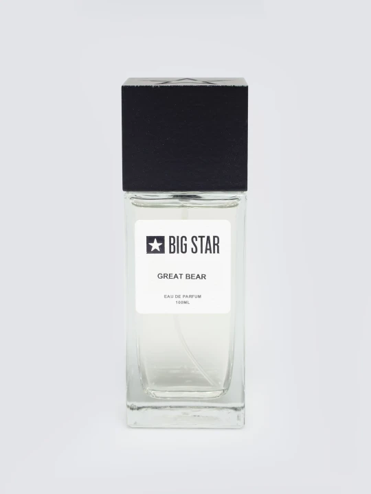 Zdjęcie produktu woda perfumowana męska owocowo-drzewna great bear 100 ml Big Star KREMOWY