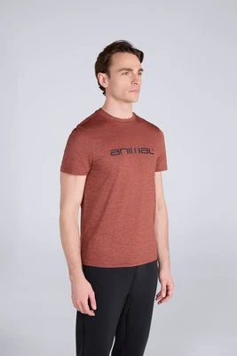 Latero damska koszulka do pływania z logo - Orange Animal