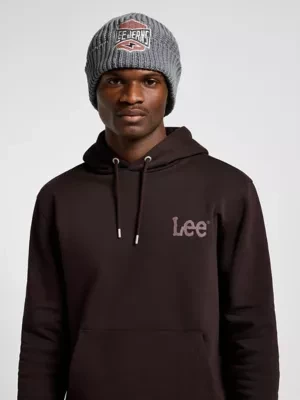 Lee Embroidered Beanie Gray